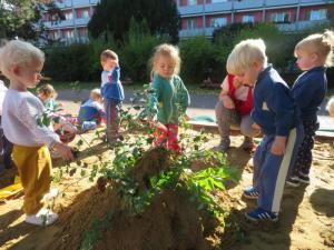 2025 Podzim na zahradě