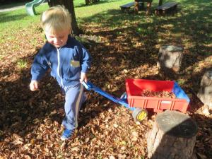 2025 Podzim na zahradě