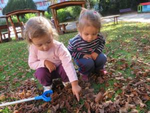 2025 Podzim na zahradě