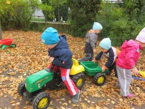 2025 Podzim na zahradě