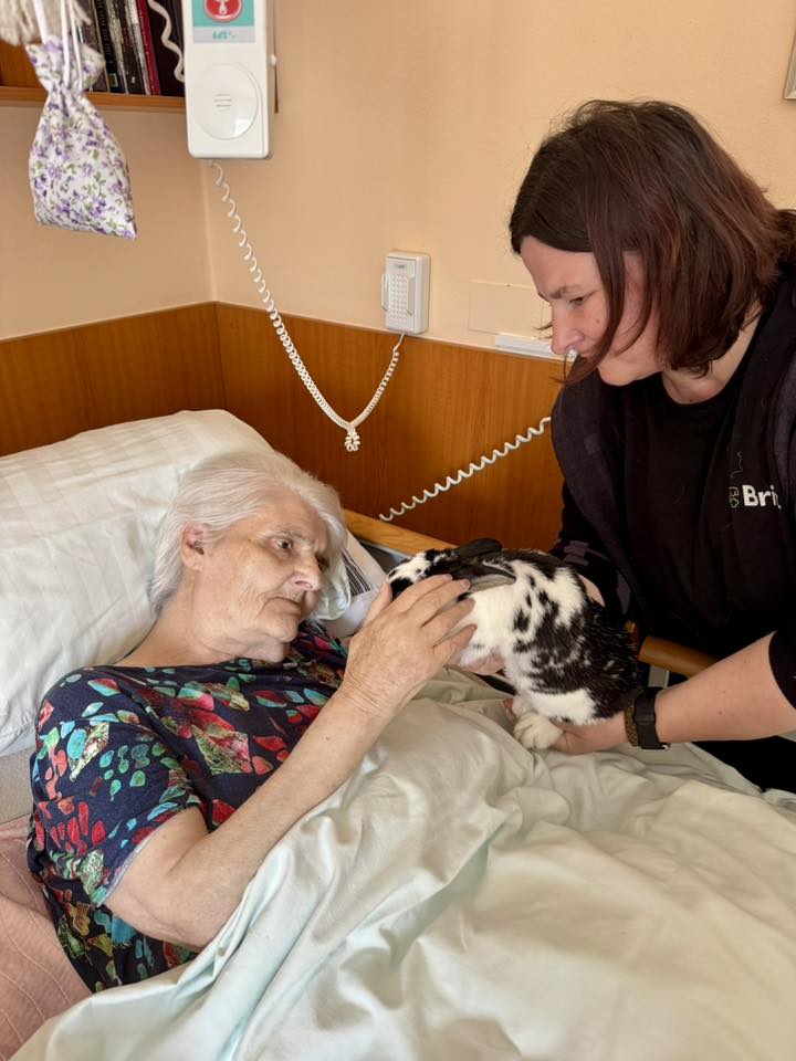 Zooterapie nás rozzářila