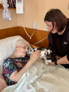 Zooterapie nás rozzářila